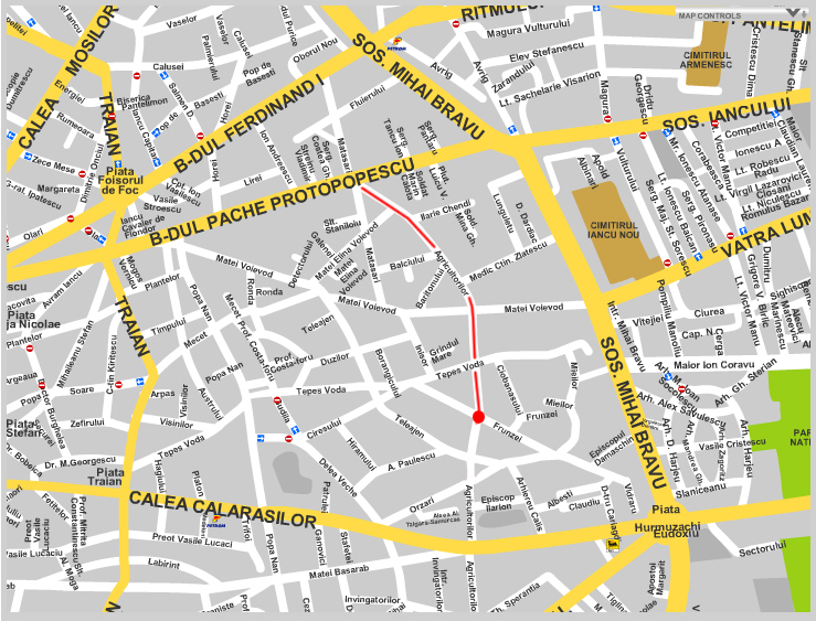 Contact Anthesis International