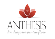 Blog.Anthesis.ro