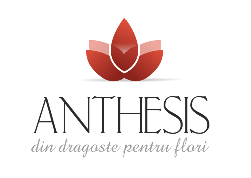 Blog.Anthesis.ro